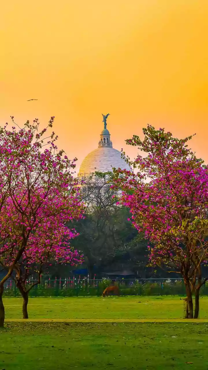 Mamata offers prayers at Kolkata church on Christmas eve