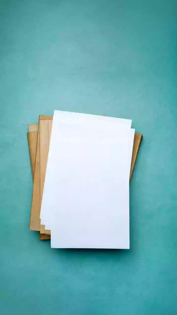Local-First AI Assistants Enable Private Offline Editing For Student Term Papers