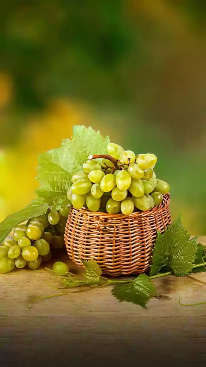 AI-Powered Drones Transform Disease Detection For Small-Scale Nashik Grape Growers