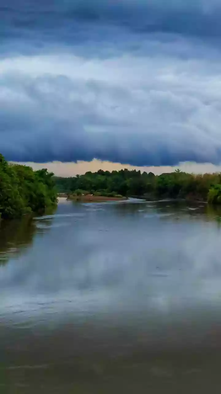 Ghaggar River's Troubled Waters: A Growing Cancer Concern in Haryana Villages