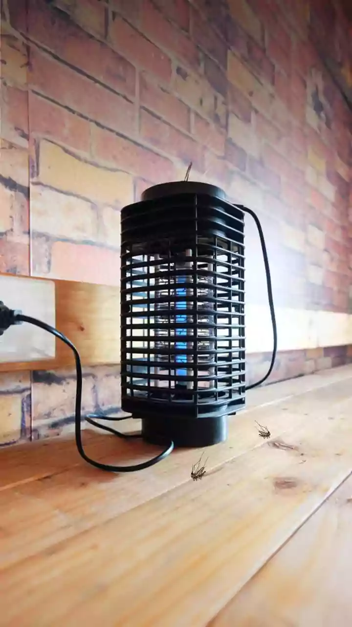 Mosquito Mania: Why They Invade Your Home & How to Evict!