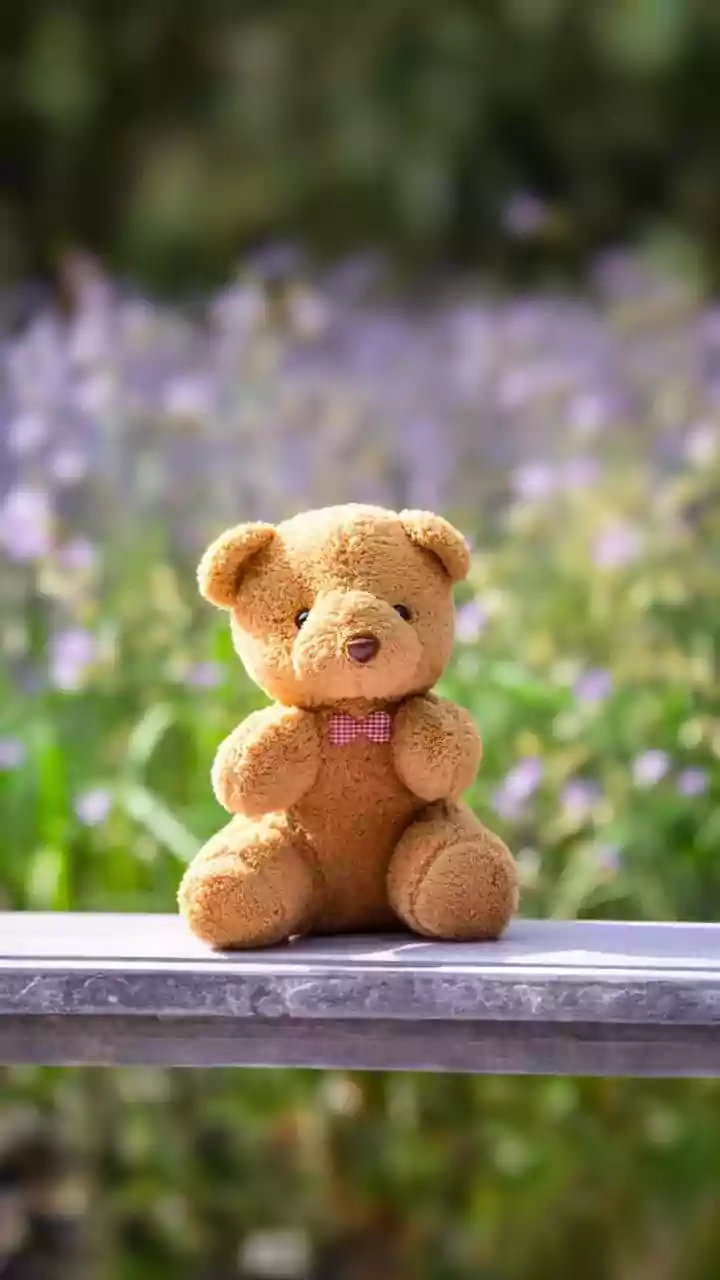 Teddy Day wishes, messages and WhatsApp status ideas for your special one