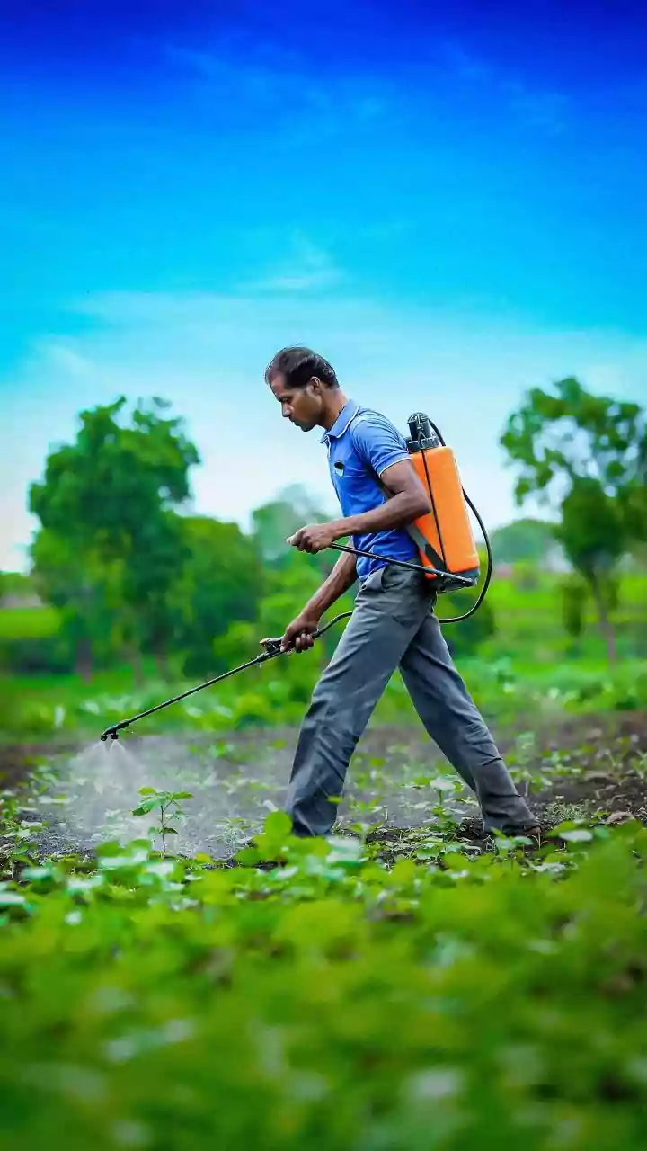 Uneven Rainfall Is A Challenge For India's Kharif Farmers