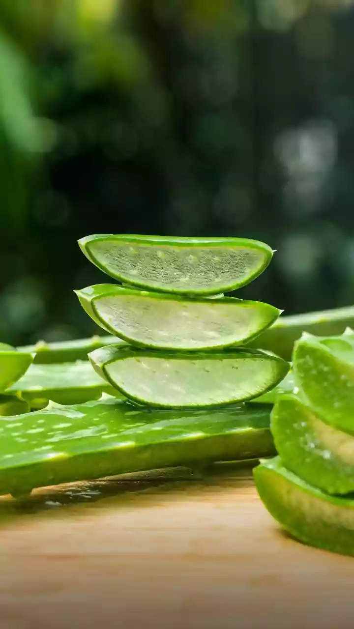 Rainy Plates Are Getting More Immunity-Smart