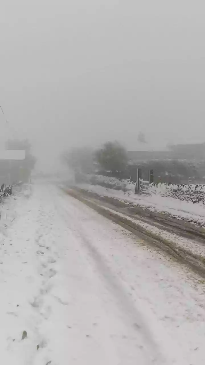 IMD warns of cold wave, dense fog in North India