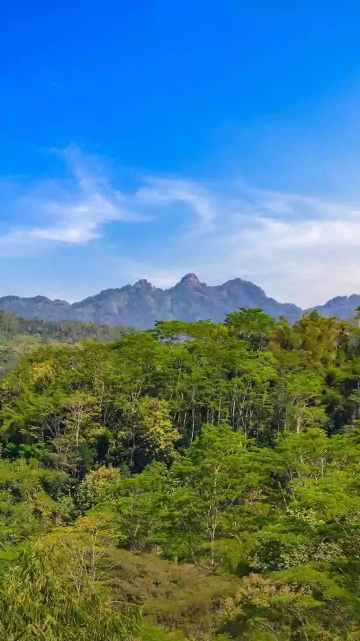 Ketti Railway Station: A Cinematic Journey in Tamil Nadu