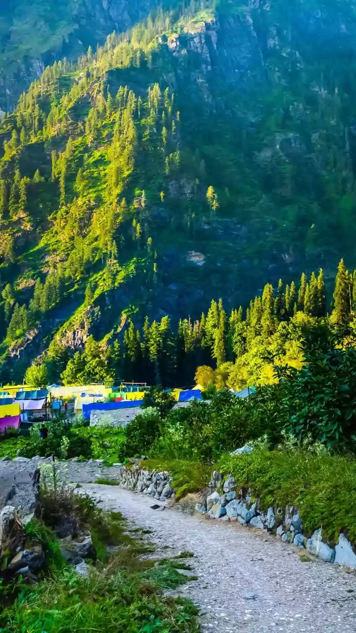 Co-Living Amenities In Jibhi Help Remote Professionals Work Seamlessly In Autumn