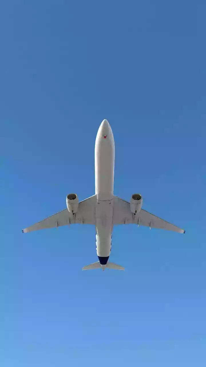 The Physics of Flight: Understanding Lift and Thrust