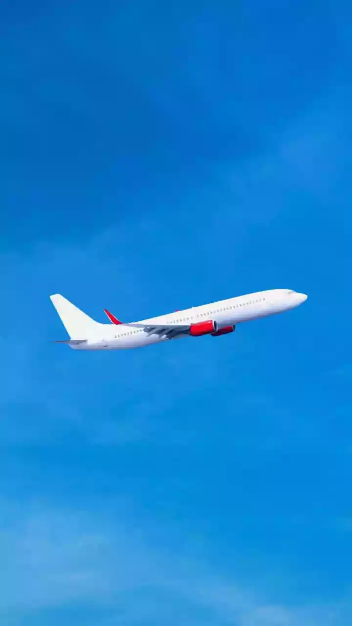 Aérea da Nova Zelândia coloca beliche na classe econômica