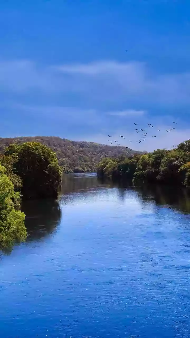 Karnataka set for statewide bandh August 13 over Cauvery dispute