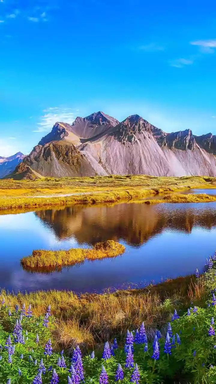 The Arctic Island Where the Sun Never Sets for Almost 70 Days: Discover Its Wonders!