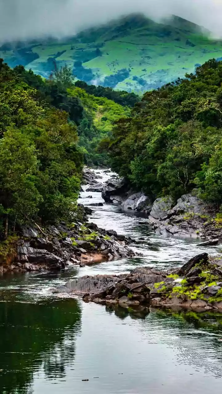 Cameroon Highlands: An underrated hiking spot