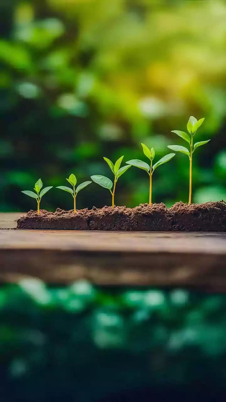 Safe Bets: Jobs Thriving Amidst AI Advancements