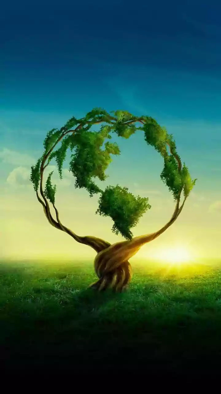 This World Day Inspires Greener Living
