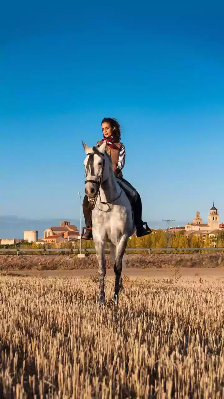 Why Portugal's countryside should be on your travel list