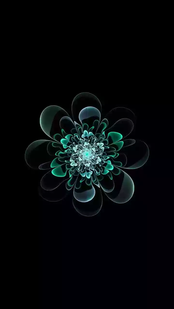 Unveiling Patterns: Math in the World Around Us