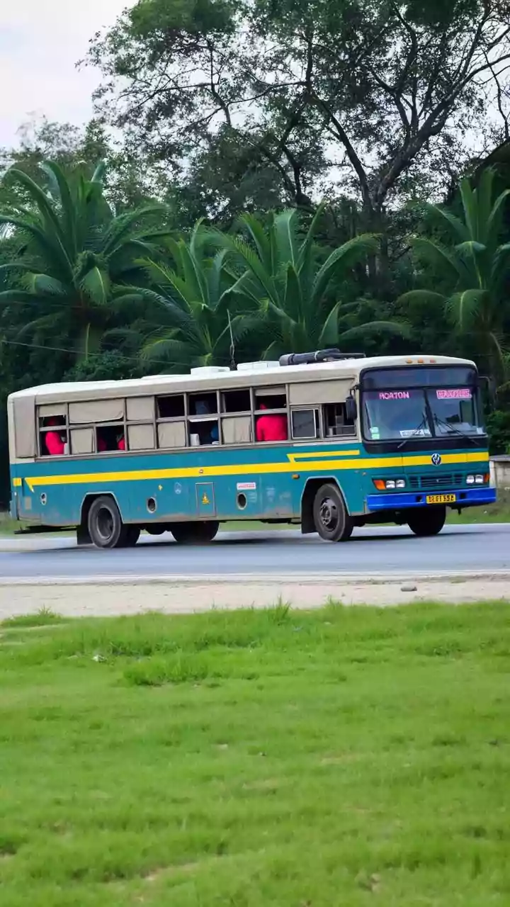 The Shared-Bus Preference Findings: A Reader Guide To Safety And Cleanliness