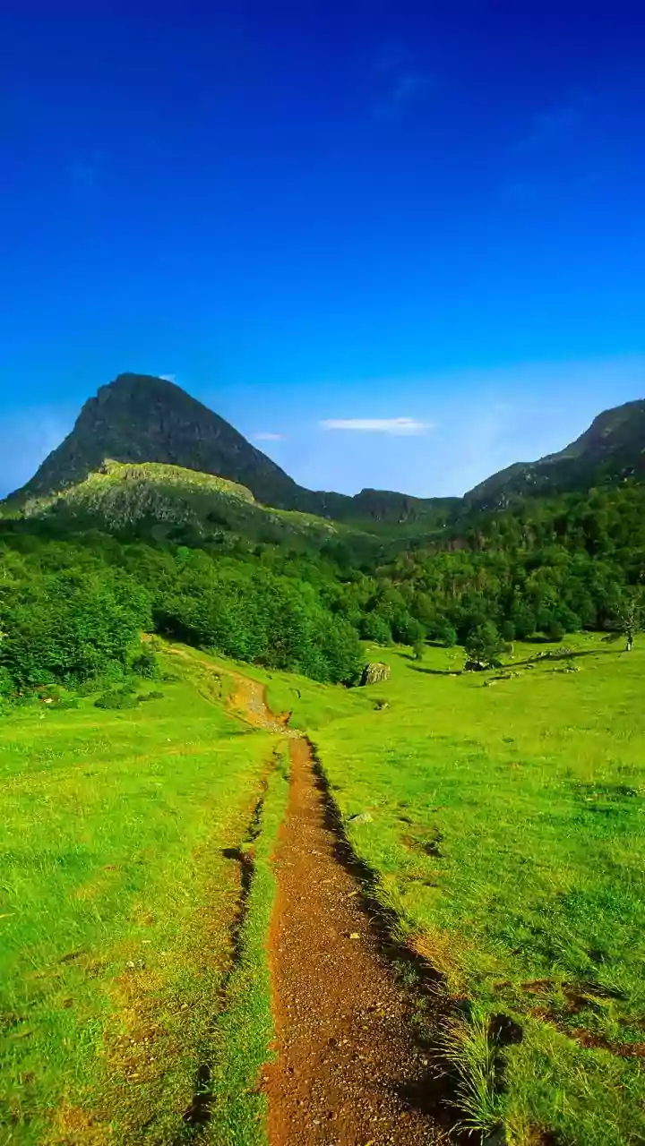 From Pune To Bengaluru, Nature Escapes Feel Fresh After Recent Rains