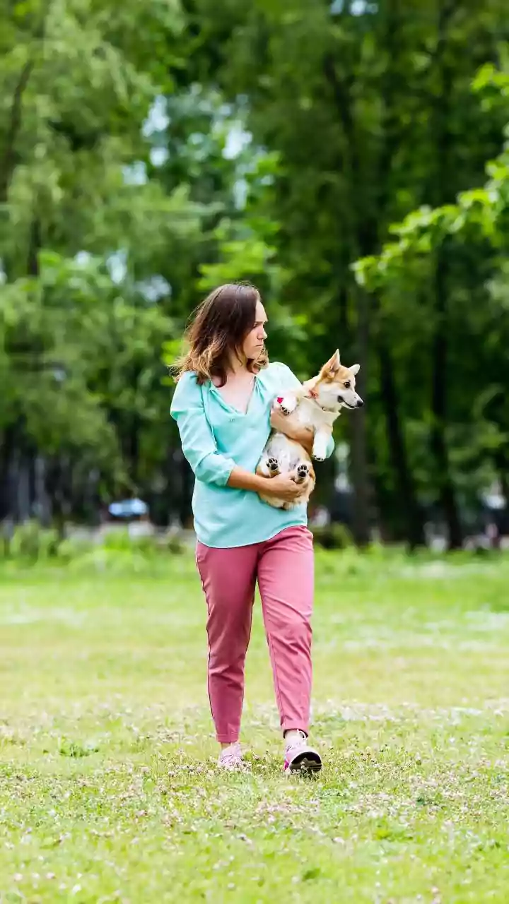 How To Assess A Pet Boarding Centre Before Leaving Your Dog Or Cat There