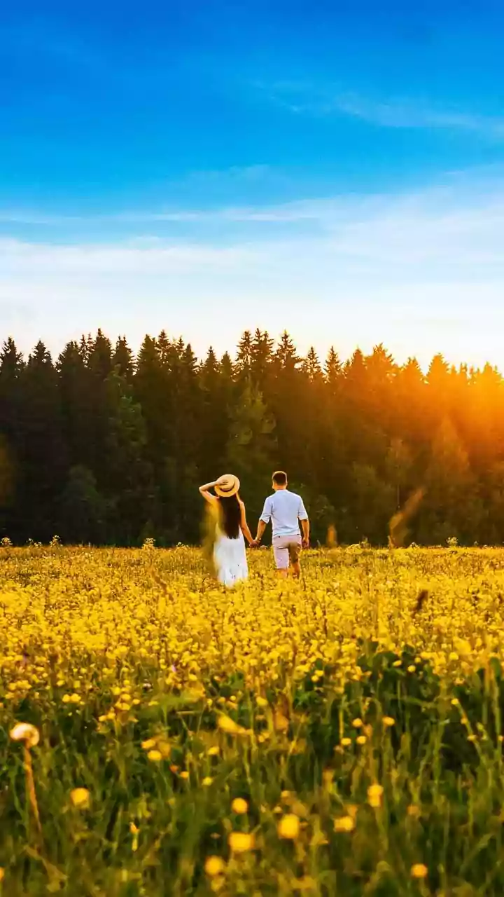 Social Media's Subtle Grip: Reshaping Your Love Expectations