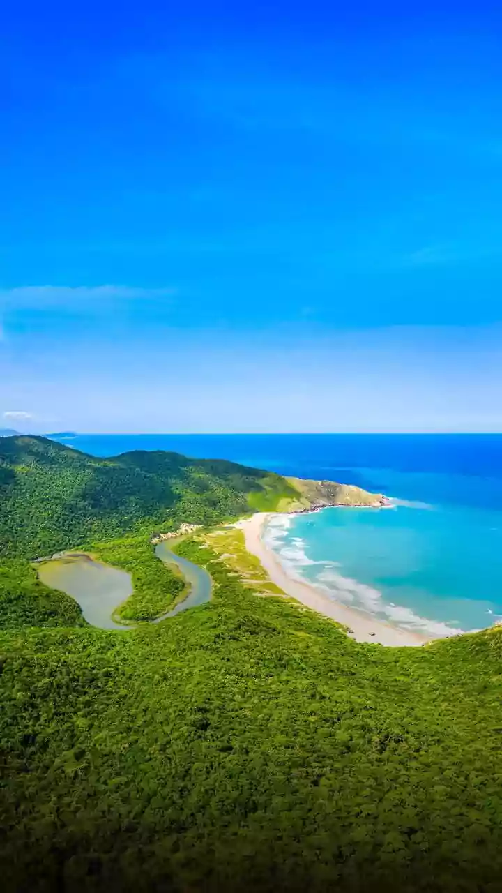 Indian Travellers Discover Queensland Through Beaches, Wildlife and Rainforests