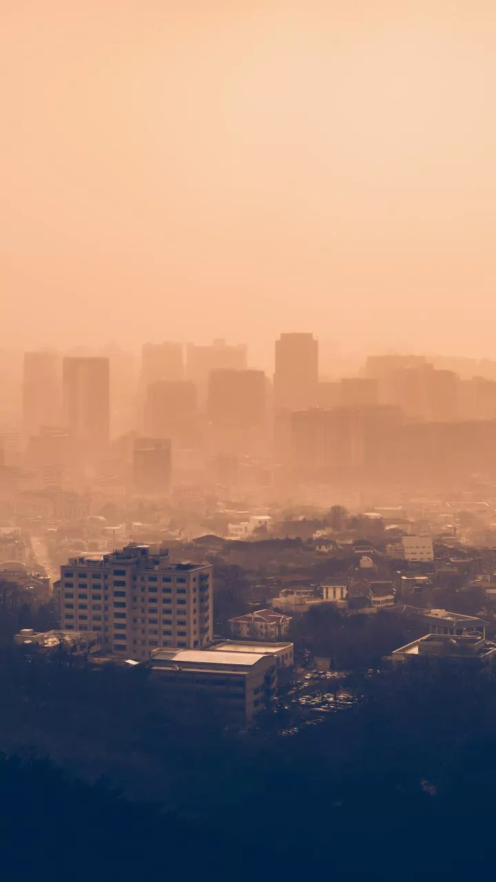 Govt denying information in Parliament on deaths due to air pollution: Surjewala