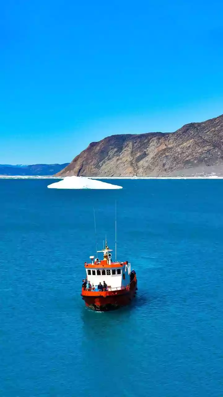 Discover the best of Greenland with boat tours