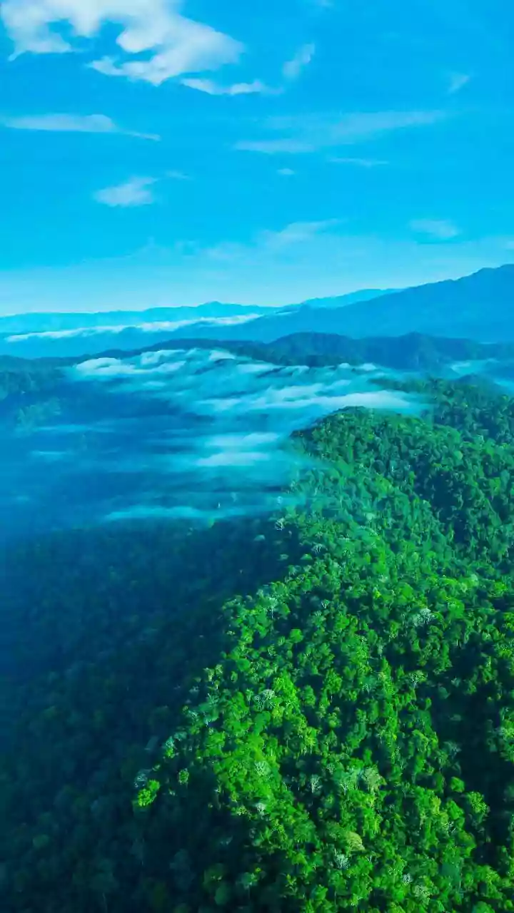 Western Ghats Are Cinematic And Complicated In Rain