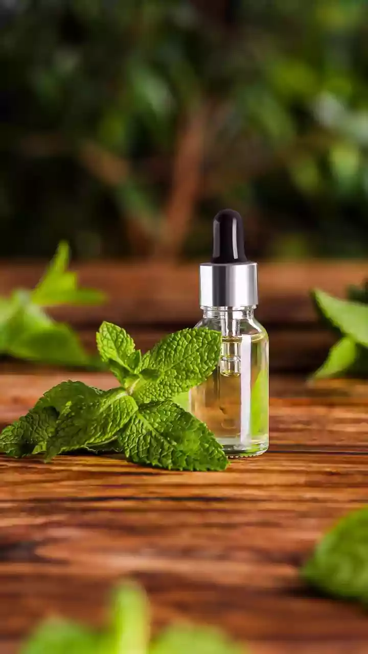 Make delicious zero waste cooking oils using leftover mint and coriander stems