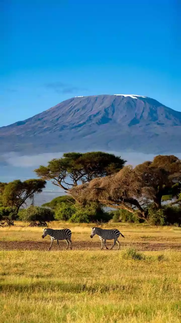Tanzania's Wonders: 14 Unmissable Experiences