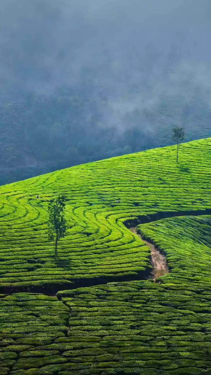 Why Onam Is The Perfect Time To Explore Kerala Beyond Its Backwaters