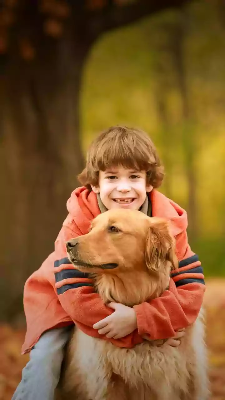 Golden Retriever: 7 Pawsitive Reasons This Breed is Perfect for Kids