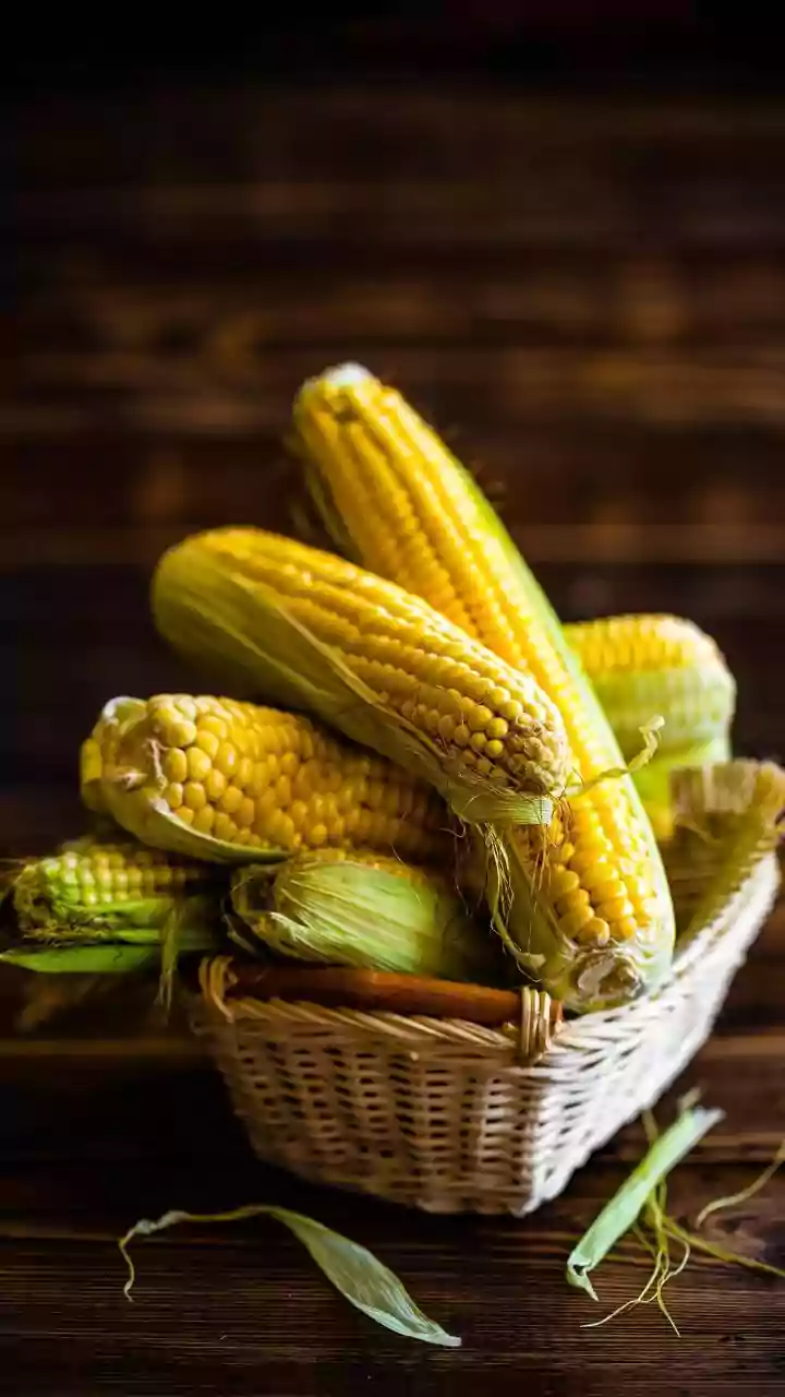 Bhutta Lovers Rejoice As Fresh Monsoon Corn Arrives Across Indian Cities