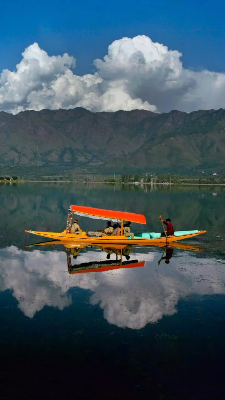 NIA court issues warrant for Hizbul Mujahideen chief