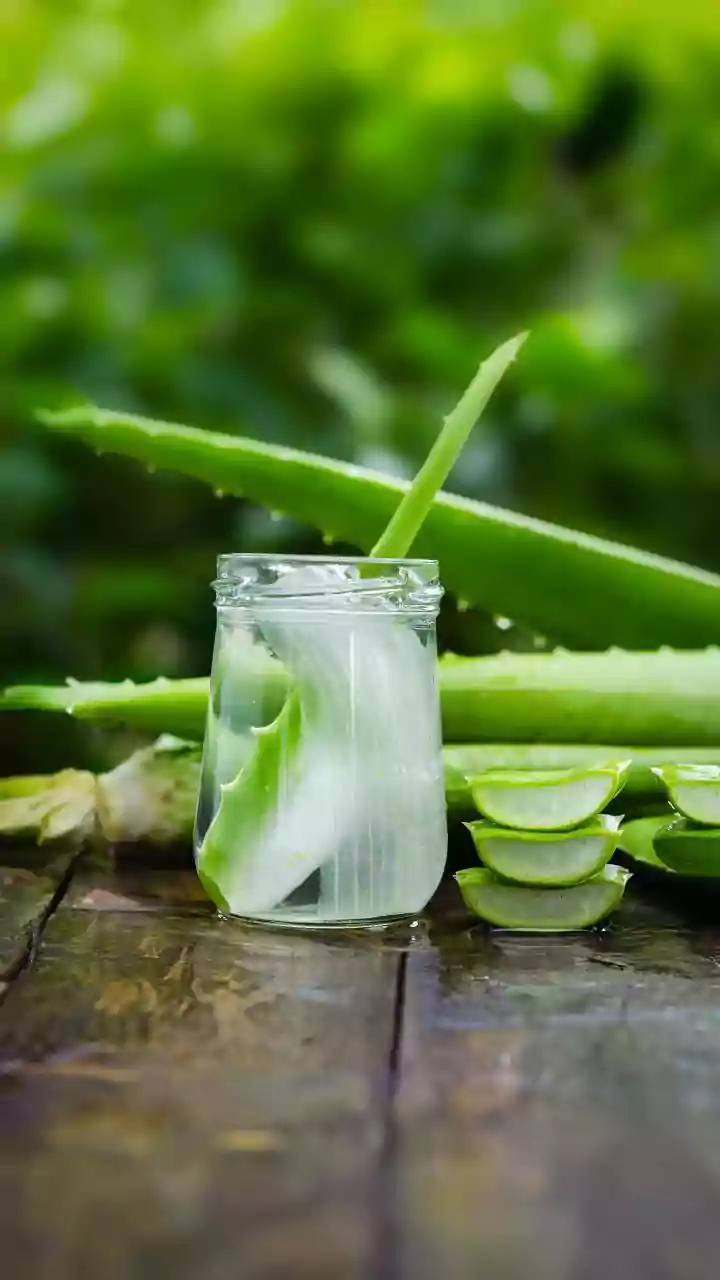 Monsoon Beauty Hacks For Oily Skin