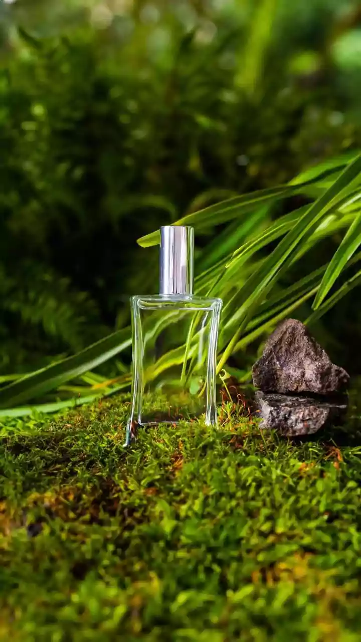 How To Compare Perfume Notes Before Choosing A Gift