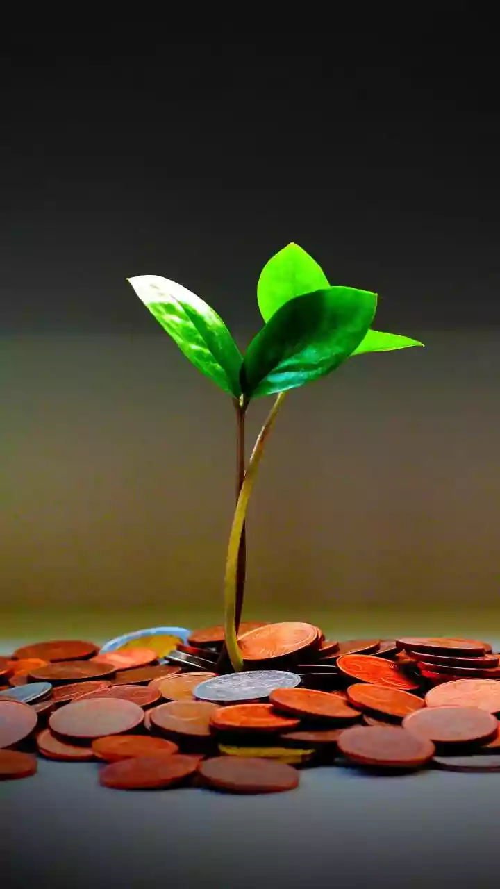 'Too expensive for a broking stock': JM Financial says 'sell Groww' on valuations