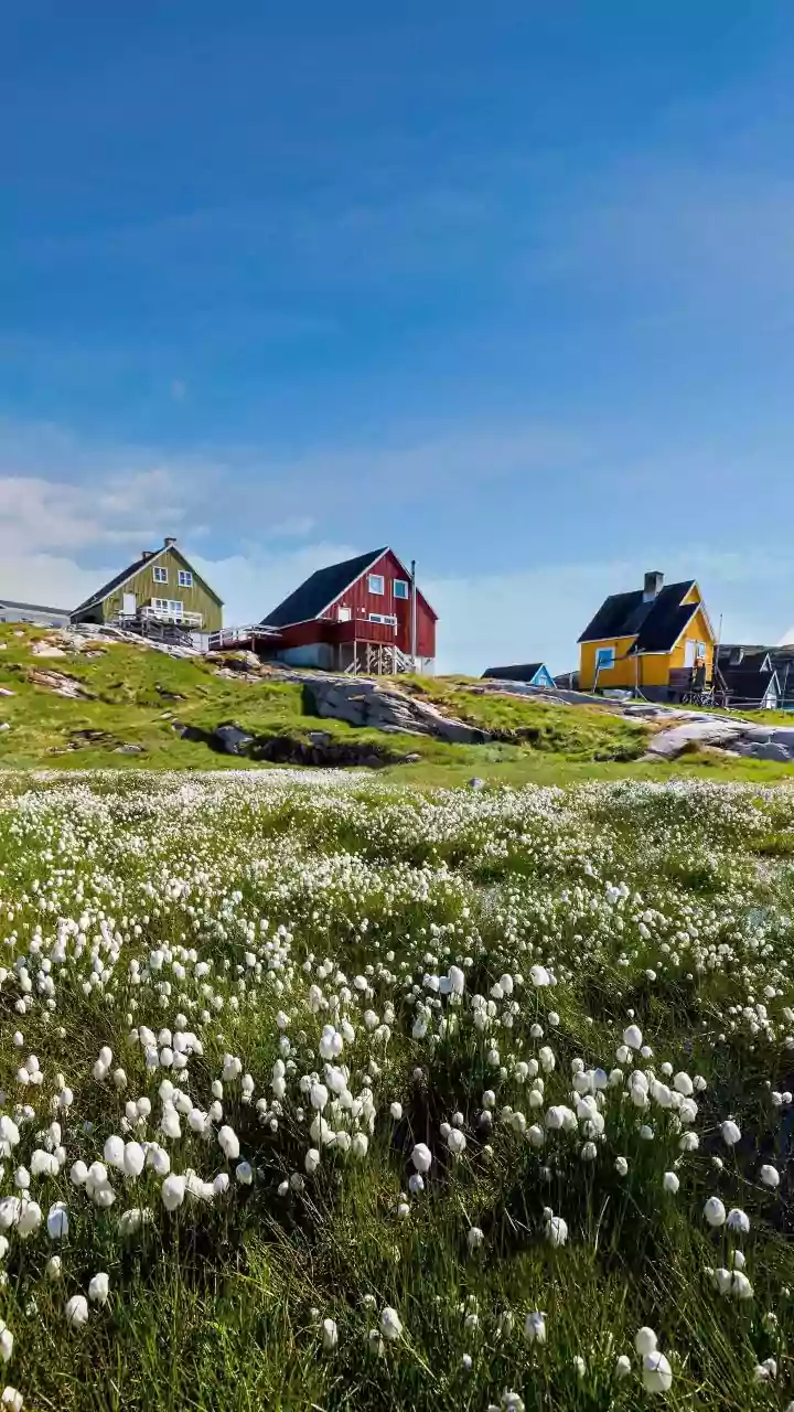 Join US, get $100,000: Trump woos Greenlanders