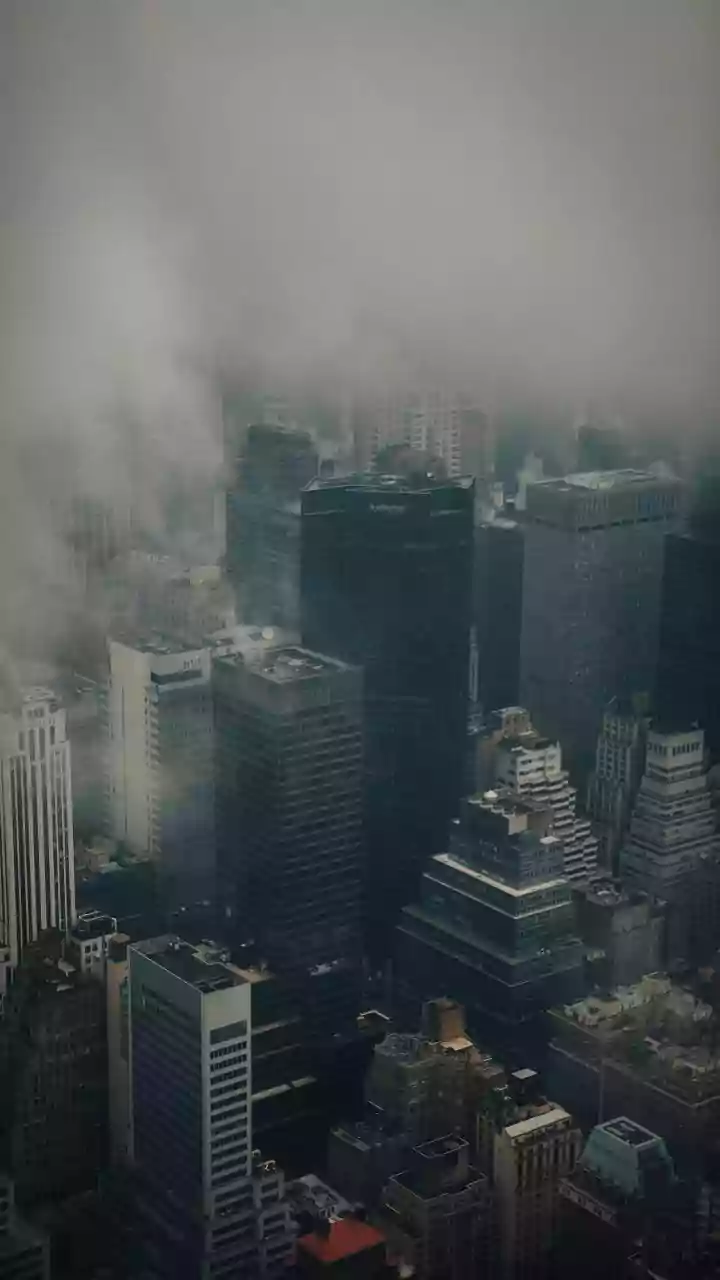 Weather alert! Dense fog warnings for Delhi, UP, Punjab; cold wave in MP, Maharashtra