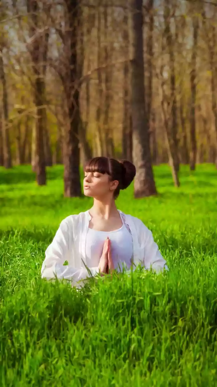 Young Adults Want Peaceful Forests