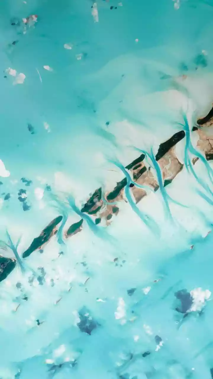 How Ocean Colour Monitoring Via ISRO OceanSat Tracks Coastal Fish Movements Effectively