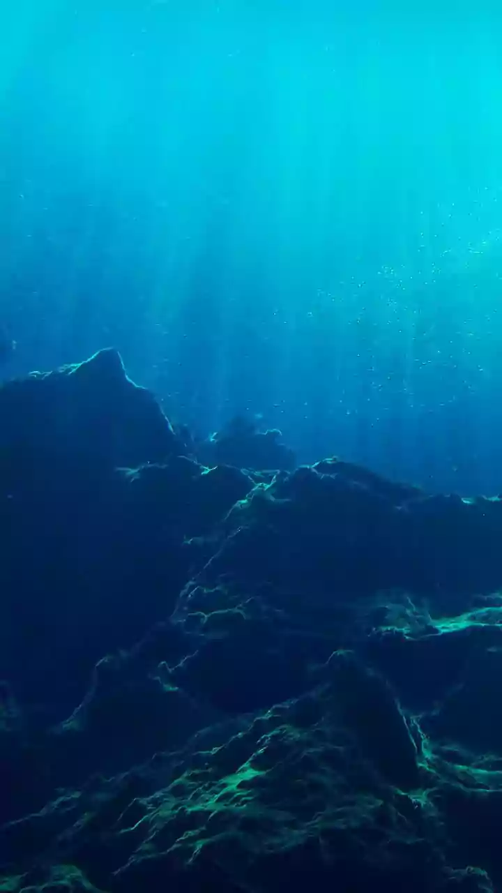 Andaman Islands Dive: Aiming for World Records with Giant Flag and Human Stack!