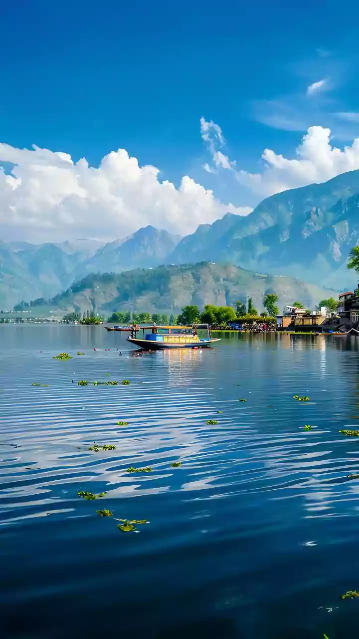 Related Stories banner