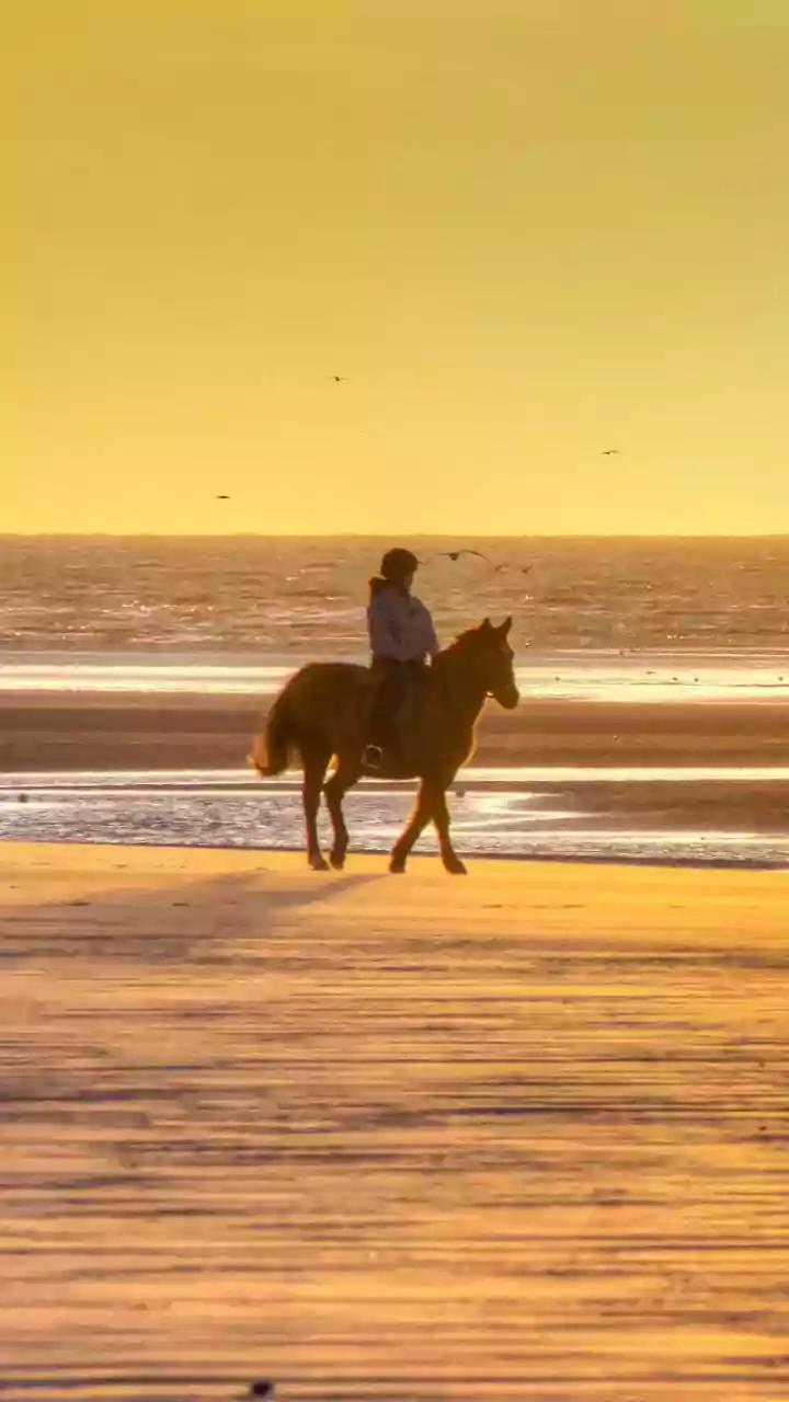 How To Combine Horse Riding With Rural Sightseeing In Portugal