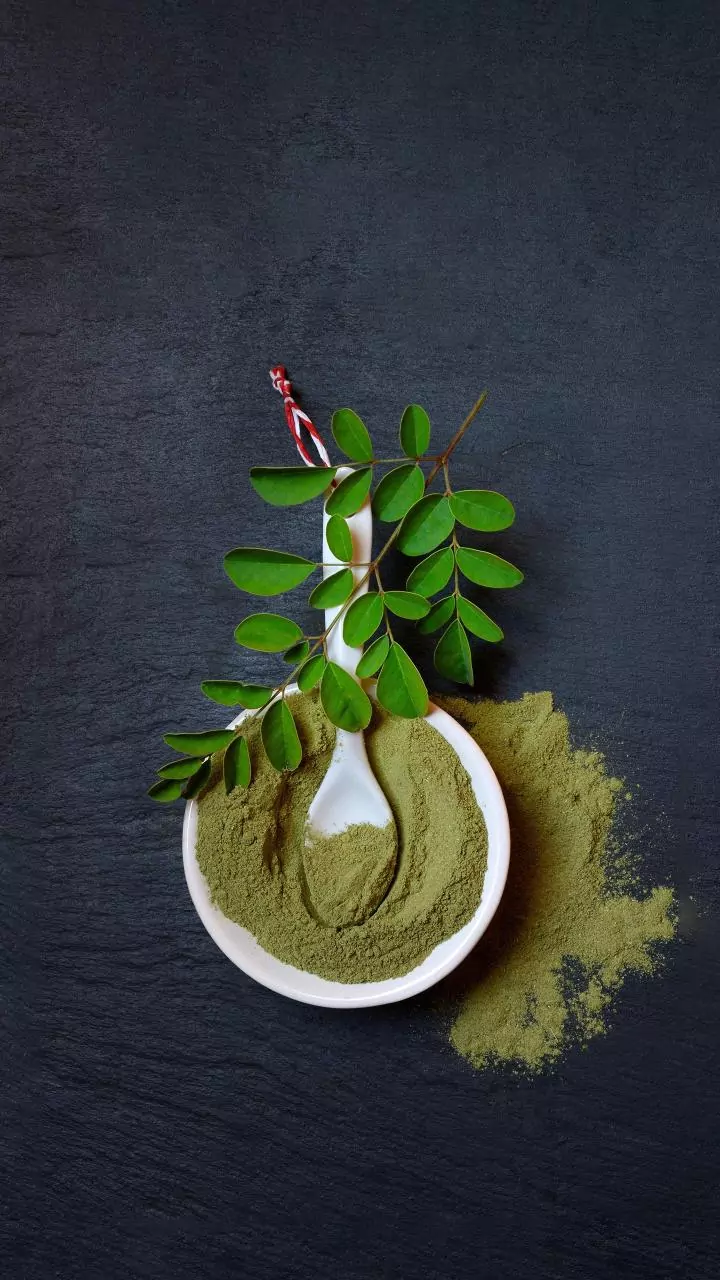 Why Fitness Enthusiasts Are Switching From Whey To Plant Based Protein Powders Today
