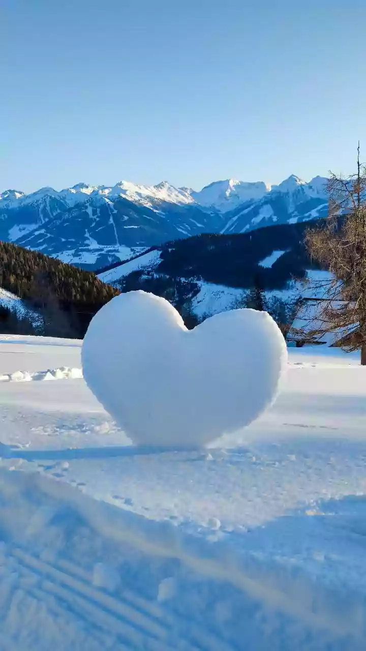 Gulmarg transforms into a white paradise as snow carpets meadows and boosts winter tourism.