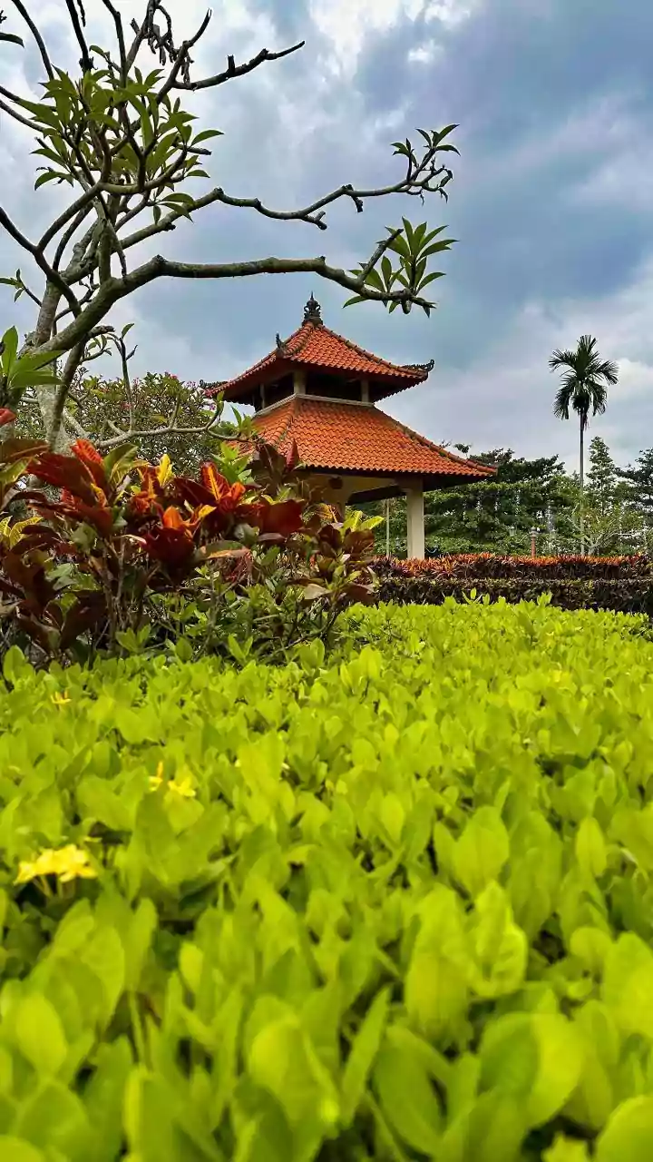 Bengaluru Engineer's Rooftop Forest: A Green Oasis in the City