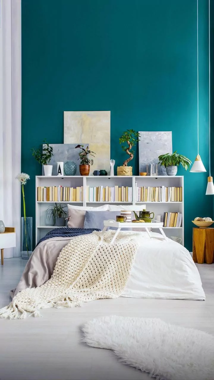 6 Decor Resolutions: Transforming Rentals & Small Spaces with Style