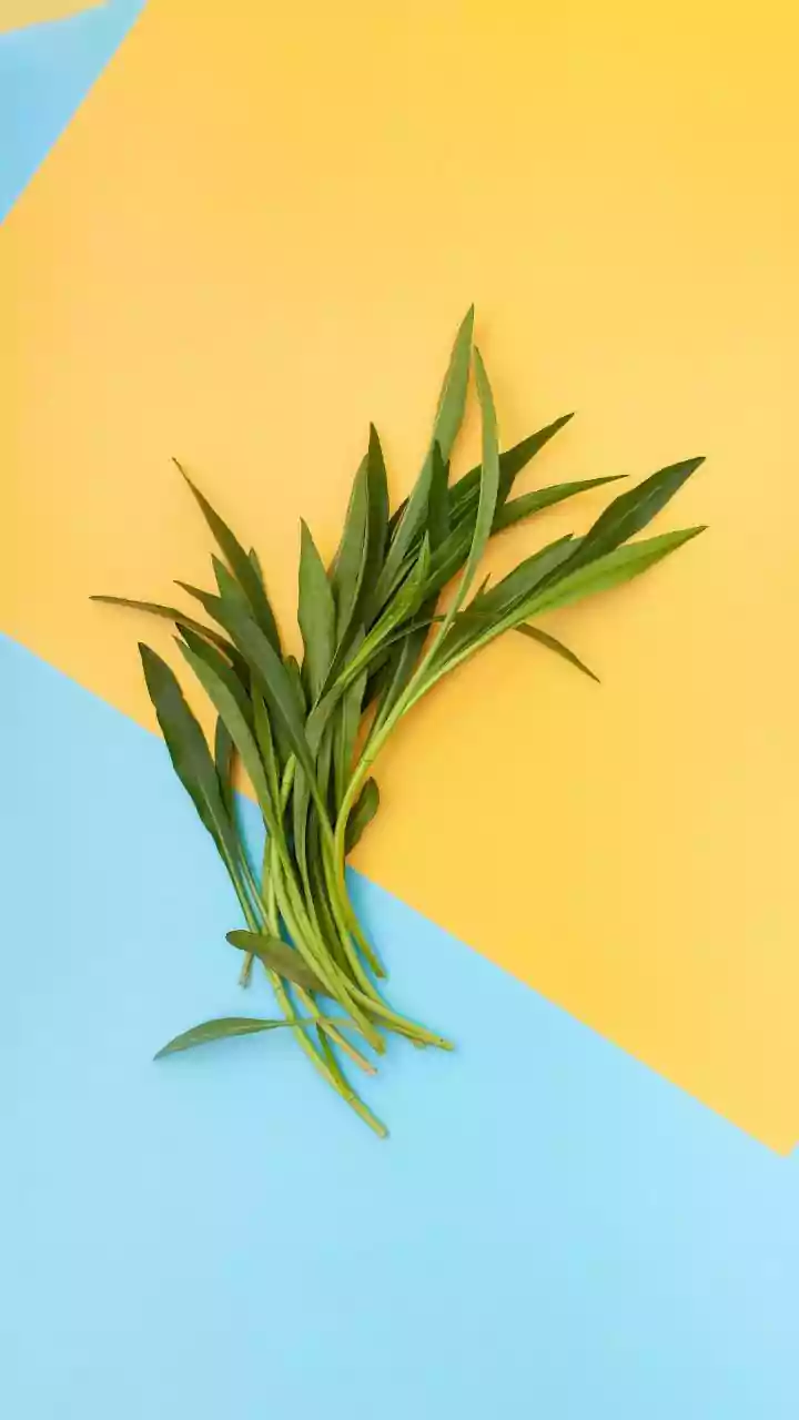 How herb stems add intense aromatic flavor when blended into zero-waste dips sauces and simmered soups