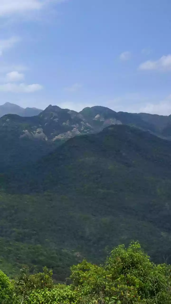Scenic Agumbe Rainforest Drives From Bangalore Need Special Monsoon Driving Precautionary Steps